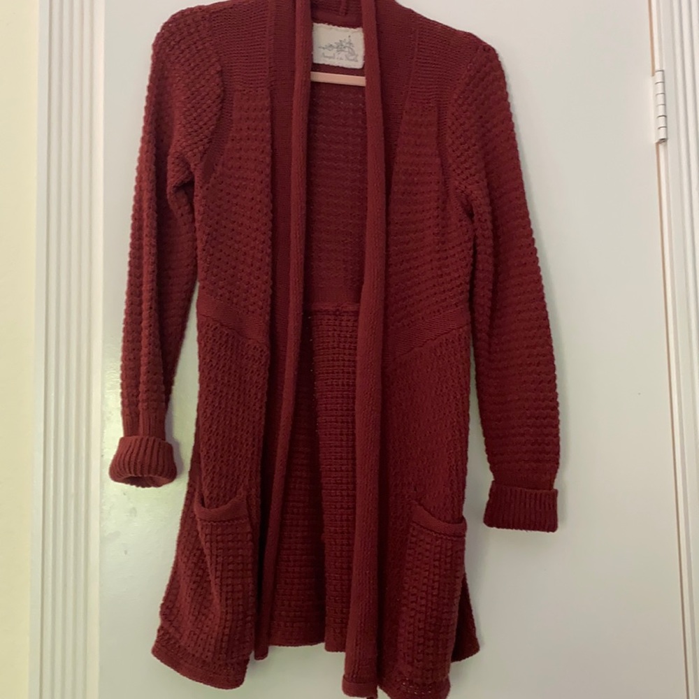 Angel of the North Anthropologie sweater